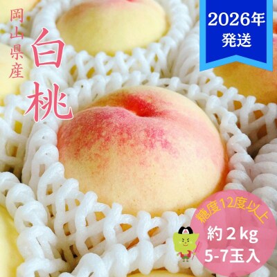 【先行受付】 白桃 特秀 ロイヤル 大玉 約2kg(5～7玉) 岡山県産[No.5735-3354]