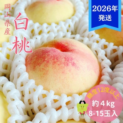 【先行受付】 白桃 特秀 ロイヤル 大玉 約4kg(8～15玉)岡山県産[No.5735-3356]
