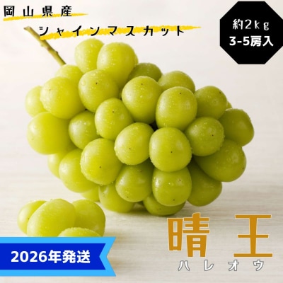 シャインマスカット 晴王 約2kg(3～5房目安)ハウス栽培  岡山県産[No.5735-3358]
