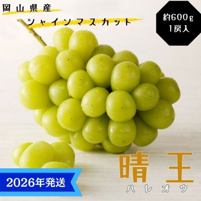 【先行受付】 シャインマスカット 晴王 秀品1房 (約600g)岡山県産[No.5735-3359]