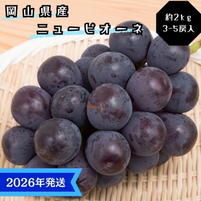 【2026年先行受付】ニューピオーネ 秀品 約2kg(3～5房)岡山県産[No.5735-3365]