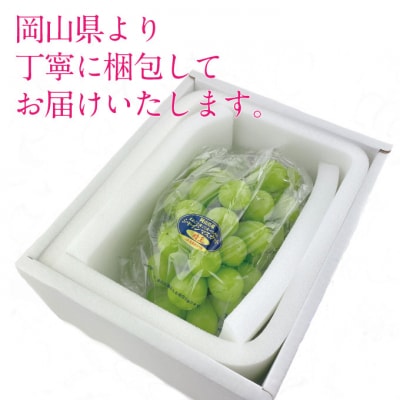 9月・10月発送 シャインマスカット 晴王 1房 約600g 岡山県産[No.5735-3237]