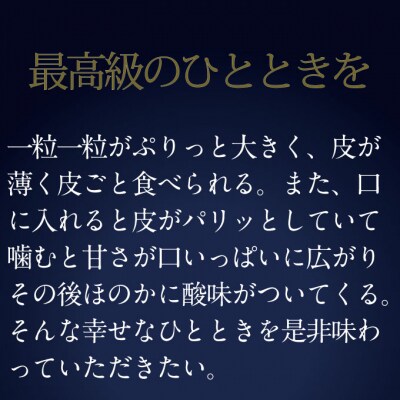 9・10月発送 高級品シャインマスカット晴王 1房 約650g 岡山県産[No.5735-3242]