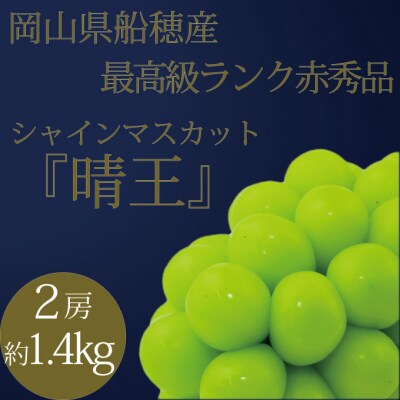 9・10月発送 高級品シャインマスカット晴王2房 約1.4kg 岡山県産[No.5735-3247]