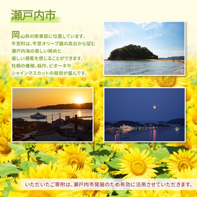瀬戸内市への応援寄附(返礼品はありません)1口 3,000円 返礼品なし[No.5735-2099]