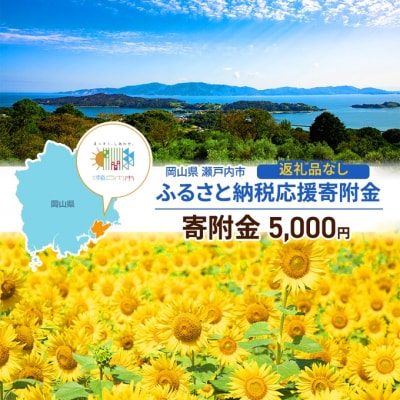瀬戸内市への応援寄附(返礼品はありません)1口 5,000円 返礼品なし[No.5735-2100]