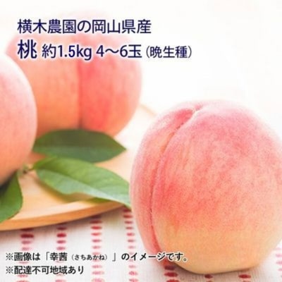 【2026年先行受付】岡山の桃(晩生種)約1.5kg 4～6玉 岡山県産[No.5735-1635]