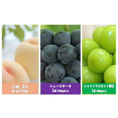 【2026年先行受付】晴れの国 岡山 の フルーツ定期便 3回コース 岡山県産[5735-3270]