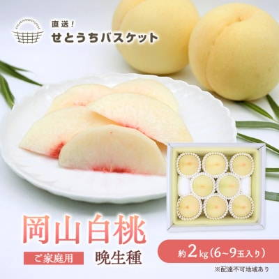 R  (Ӑ) ƒp 2kg 6`9ʓ RY[No.5735-1651]