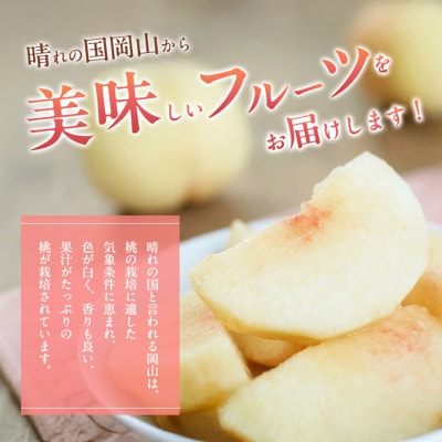 岡山 白桃 (晩生種) ご家庭用 約2kg 6～9玉入り 岡山県産[No.5735-1651]