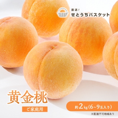【2026年先行受付】岡山 黄金桃 ご家庭用 約2kg 6～9玉入り [No.5735-1652]