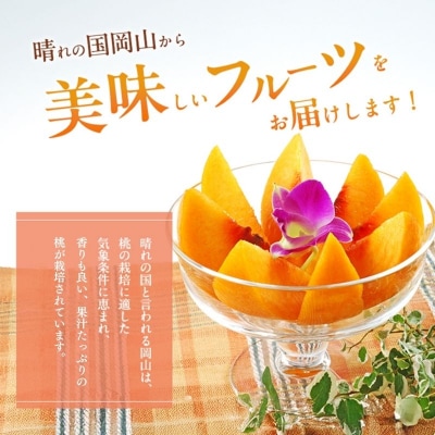 【2026年先行受付】岡山 黄金桃 ご家庭用 約2kg 6～9玉入り [No.5735-1652]