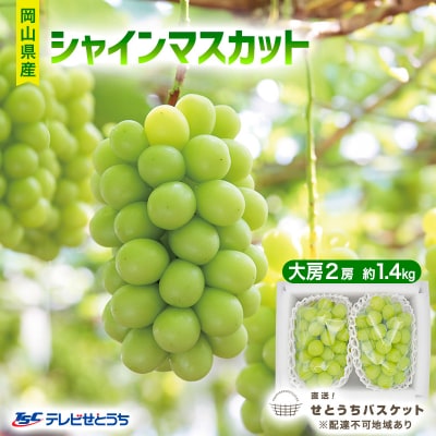 【先行受付】 シャインマスカット 大房 2房 約1.4kg 岡山県産 [No.5735-1953]