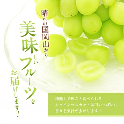 【先行受付】 シャインマスカット 大房 2房 約1.4kg 岡山県産 [No.5735-1953]