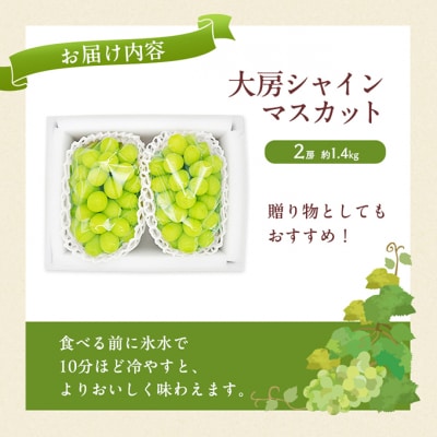 【先行受付】 シャインマスカット 大房 2房 約1.4kg 岡山県産 [No.5735-1953]