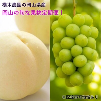 岡山の旬な果物 定期便! 白桃 6～9玉 /シャインマスカット 大房2房[No.5735-1638]