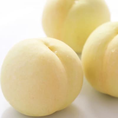 岡山の旬な果物 定期便! 白桃 6～9玉 /シャインマスカット 大房2房[No.5735-1638]