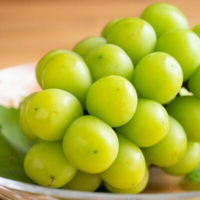 岡山の旬な果物 定期便! 白桃 6～9玉 /シャインマスカット 大房2房[No.5735-1638]