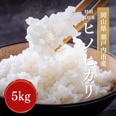 令和7年産 特別栽培米 ヒノヒカリ 5kg 精米  岡山 瀬戸内市 [No.5735-3407]