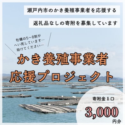 【返礼品なし】かき養殖事業者応援プロジェクト(1口3,000円分)[No.5735-3492]