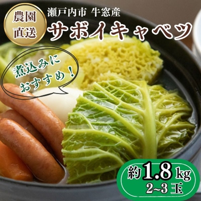 ���˓������Y �T�{�C�L���x�c ��1.8kg(2�`3��)[No.5735-1022]