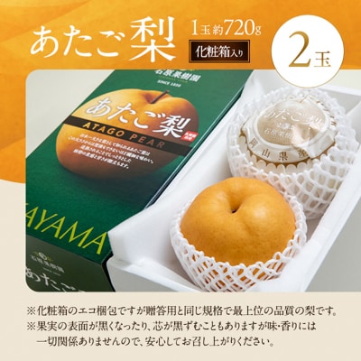 石原果樹園　あたご梨 2玉 (1玉 約720g) 化粧箱 岡山県産 [No.5735-0937]
