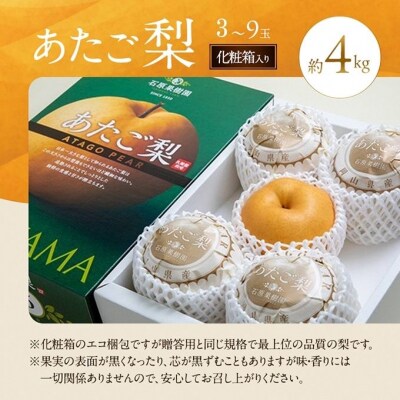 石原果樹園　あたご梨 3～9玉 合計約4kg 化粧箱 岡山県産 [No.5735-0940]