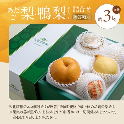 あたご梨・鴨梨(ヤーリー)詰合せ 合計約3kg 贈答箱 岡山県産 [No.5735-0949]