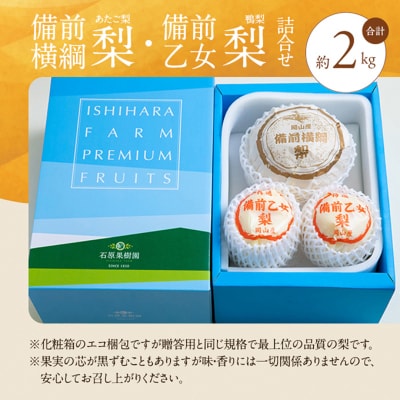 備前横綱梨(あたご梨)1玉・備前乙女梨(鴨梨)3～5玉 詰合せ 岡山県産[No.5735-1162]