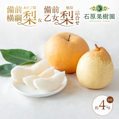 備前横綱梨(あたご梨)2玉・備前乙女梨(鴨梨)4～6玉 詰合せ 岡山県産[No.5735-1163]