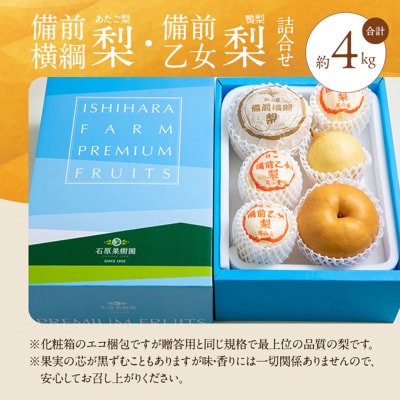 備前横綱梨(あたご梨)2玉・備前乙女梨(鴨梨)4～6玉 詰合せ 岡山県産[No.5735-1163]