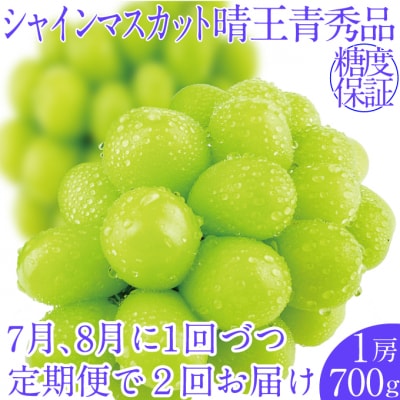 【2回定期便】 シャインマスカット晴王 1房 (約700g) 岡山県産 [No.5735-2147]