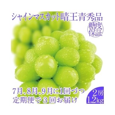 【3回定期便】シャインマスカット 晴王 2房 約1.2kg 岡山県産 [No.5735-2150]