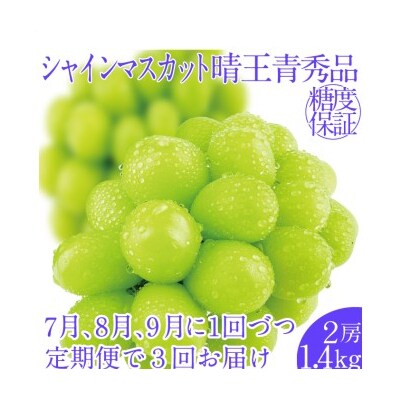 【3回定期便】シャインマスカット 晴王 2房 約1.4kg  岡山県産 [No.5735-2152]