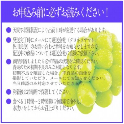 【3回定期便】シャインマスカット 晴王 2房 約1.4kg  岡山県産 [No.5735-2152]