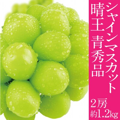シャインマスカット 晴王 2房 約1.2kg  7～8月出荷 岡山県産 [No.5735-3222]