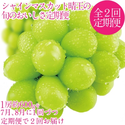 【2回 定期便】シャインマスカット 晴王 1房 約600g  岡山県産 [No.5735-3224]