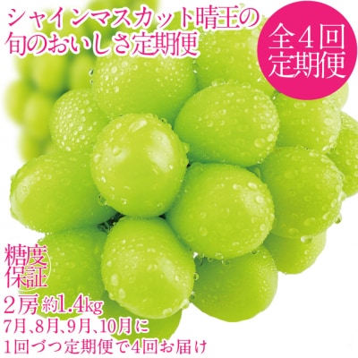【4回 定期便】シャインマスカット 晴王 2房 約1.4kg 岡山県産 [No.5735-3235]
