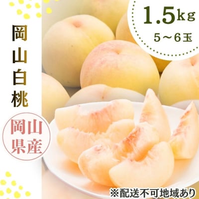 【2026年先行受付】 岡山県産 白桃 岡山白桃1.5kg箱 5～6玉 [No.5735-3498]