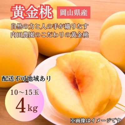 【2026年先行受付】岡山県産 黄色い桃 匠の黄金桃4kg箱10～15玉[No.5735-3500]