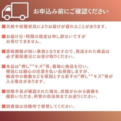 【2026年先行受付】岡山県産 黄色い桃 匠の黄金桃4kg箱10～15玉[No.5735-3500]