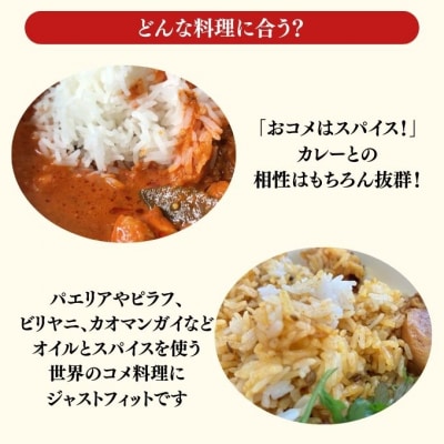 令和7年産 サリークイーン500g×4袋 香り米  [No.5735-3479]