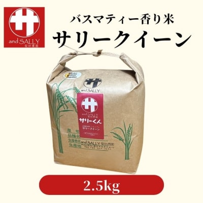 令和7年産 サリークイーン2.5kg 香り米  [No.5735-3480]