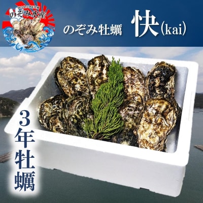  【2026年先行受付】のぞみ 牡蠣[快] 殻付き約20個(三年牡蠣) [No.5735-3573]