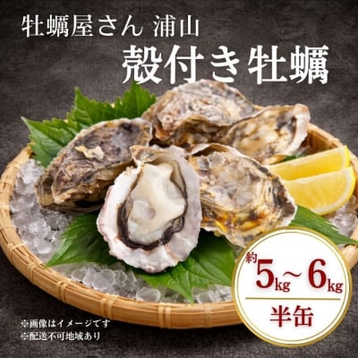  殻付き牡蠣 約5～6kg前後 半缶 【数量限定】 加熱用 [No.5735-3532]