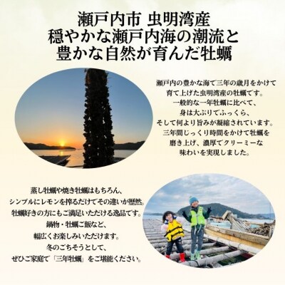  殻付き牡蠣 約5～6kg前後 半缶 【数量限定】 加熱用 [No.5735-3532]