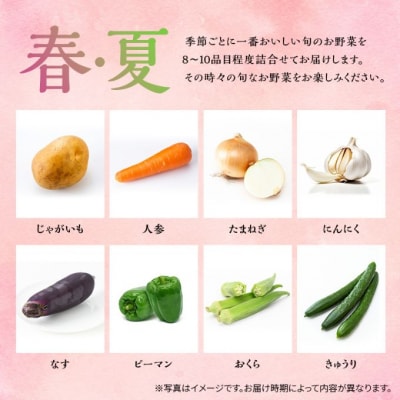 季節の野菜 8～10品目 セット 栽培期間中 無農薬 化学肥料不使用 [No.5735-2019]