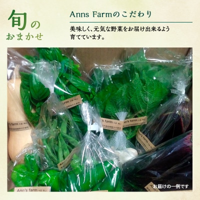 季節の野菜 8～10品目 セット 栽培期間中 無農薬 化学肥料不使用 [No.5735-2019]