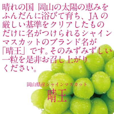 【定期便 全2回】シャインマスカット 晴王 1房 約600g 岡山県産[No.5735-3248]