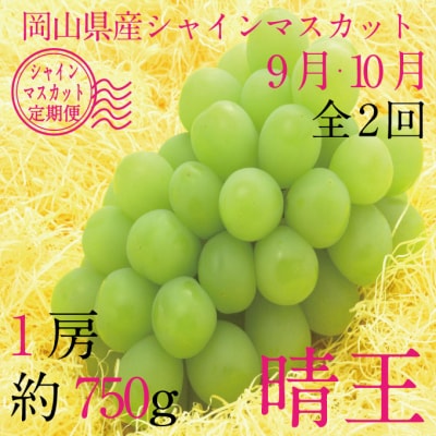 【定期便 全2回】シャインマスカット 晴王 1房 約750g 岡山県産 [No.5735-3250]